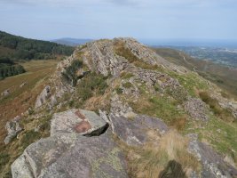 Altsanga tontorra ekialdetik