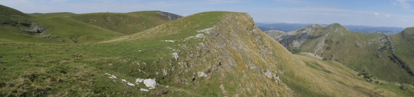 Salingain tontorra hegoaldetik