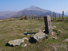 R15 mugarria Erentzazun