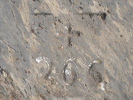 266. mugarria Portillo de Abajo lepoan