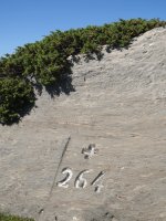 264. mugarria Arlas mendiaren mendebaldeko bizkarrean