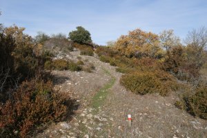 Itxesorde tontorrera gerturatzen