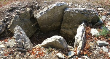 San Sebastian Ipar trikuharria, Anda Kuartango