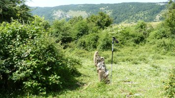 Argiñekoleze. Junio 2025