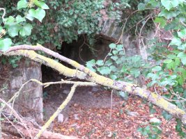 Arrianoko errotaren hondakinak, Arriano-Kuartango