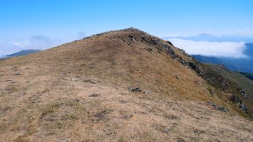 Txangoa tontorra mendebaldetik