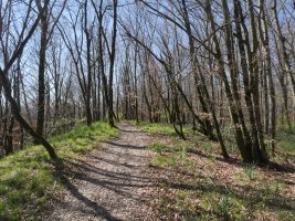 Beuntzako Gaina (tarteko muinoa)