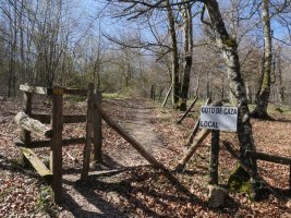 Arraldegaña tontorrera gerturatzen