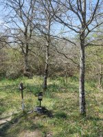 Arraldegaña gailurra