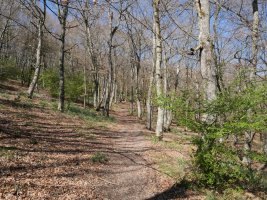 Gelbentzu aldeko bidea, Arraldegaña