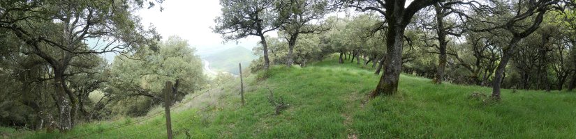 Iparraldeko muturrera doan bidea, Illunbeta