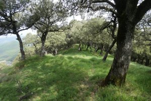 Iparraldeko muturrera doan bidea, Illunbeta