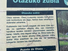 Otazuko Zubia. Aiara (Luiaondo)
