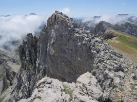 Foya de Gamuetaren gandor estua