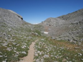 Anzotiello lepoko bidea