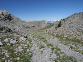 Anzotiello lepoko bidea