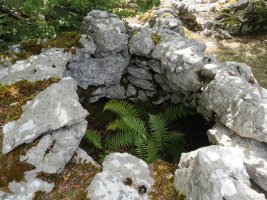 Aiapursare 1 arkue