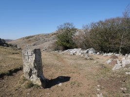 Muagrri zaharra bide bazterrean