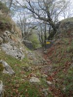 Belutako ataka