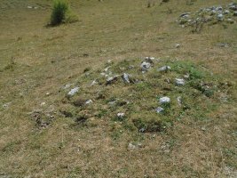mampodre norte