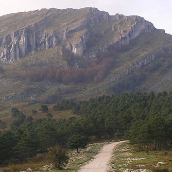 Peñalba desde Villabasil