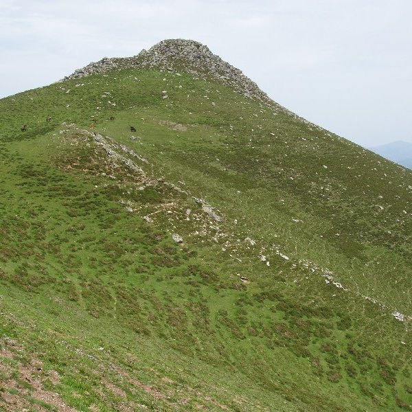 Katilliko Harri, hegoaldeko ikuspegia
