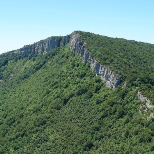 Ekialdeko isurialdea