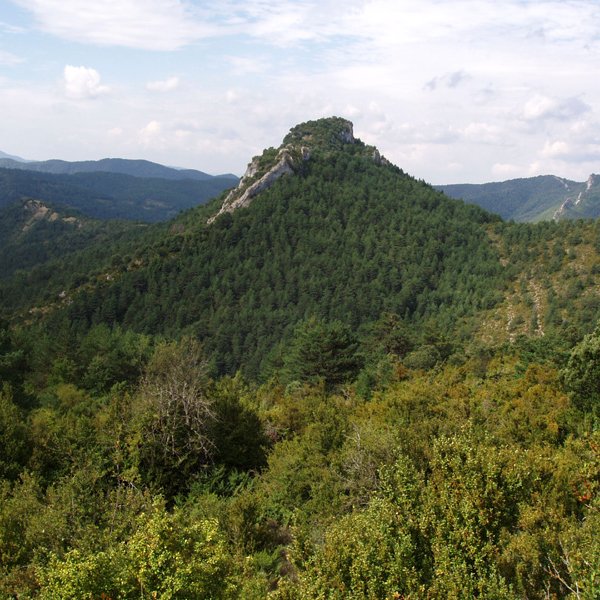 Gaztuluzarra ekialdetik