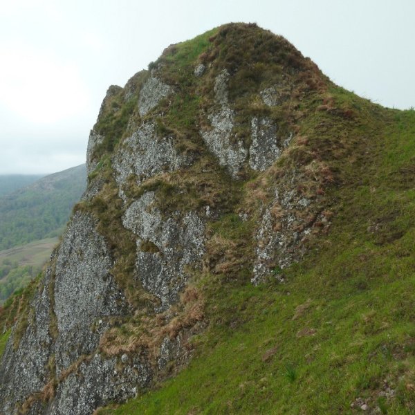 Tontorra, iparraldetik