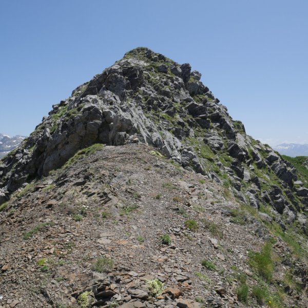 Pic d'Anéou tontorra ekialdetik