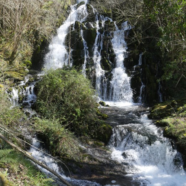 Antzubiaga ur-jauzia