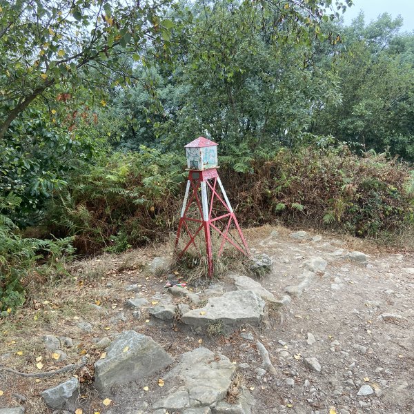 Tontorra
