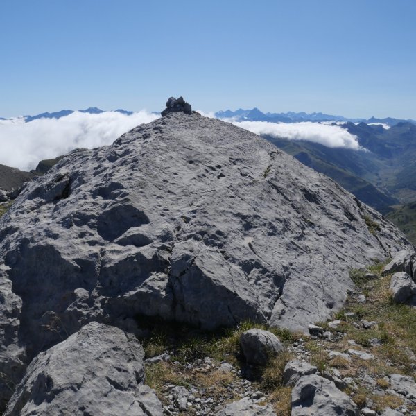 Anzotiello tontorra