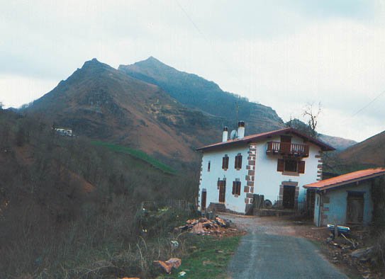 Sumus aldeko ikuspegia