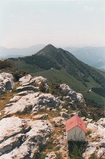 Tontorreko ikuspegia