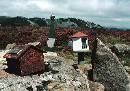 Buzoi ugari tontorrean