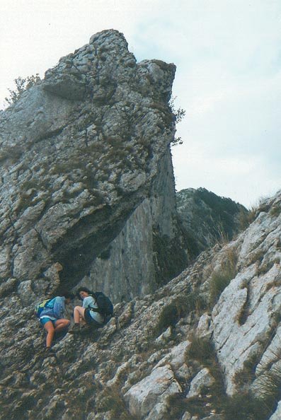 Lezearen gaineko gandor zorrotza
