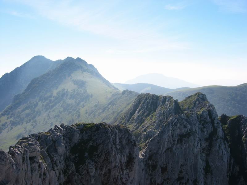 Anbotora Inferno Zubitik pasata