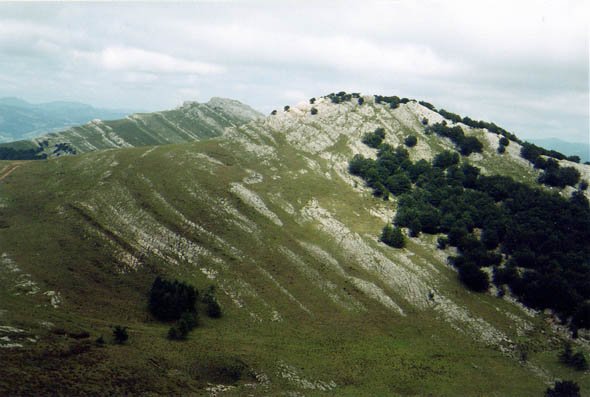 Hegoaldeko isurialdea