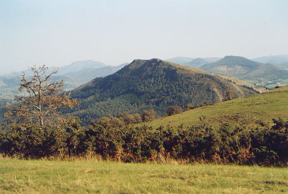 Burutza harrobirik gabe