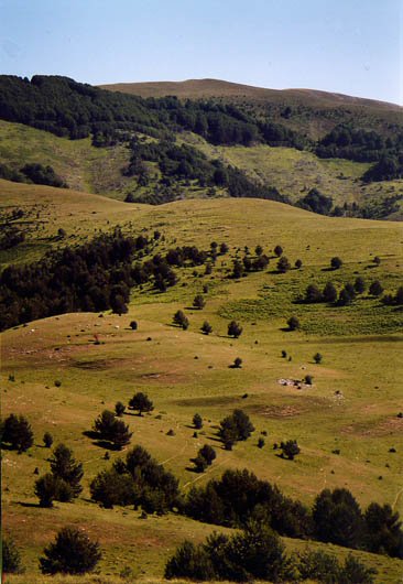 Hegoaldeko isurialdea