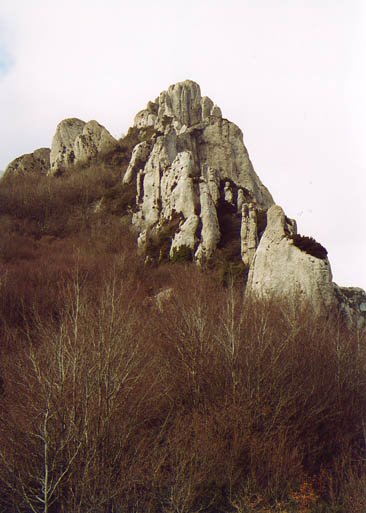 Toro mendatetik ikusita