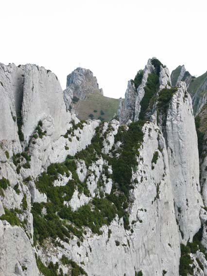 Palomares aldetik, Larrasaren gandorraren atzean