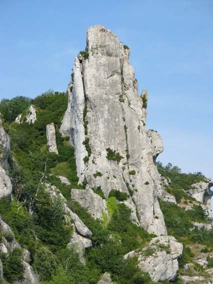 El Cuervo inguruko haitza