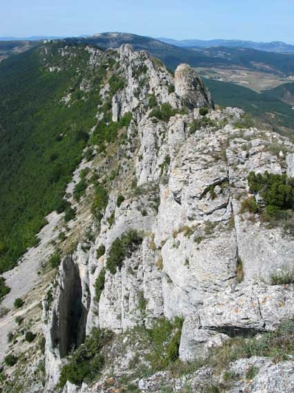 Mendebaldeko gandorra