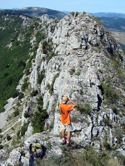Mendebaldeko gandorra tontorretik