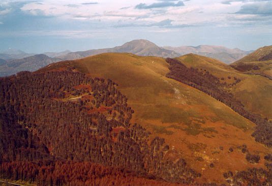 Axistoi eta Xapelarriko kaskoak