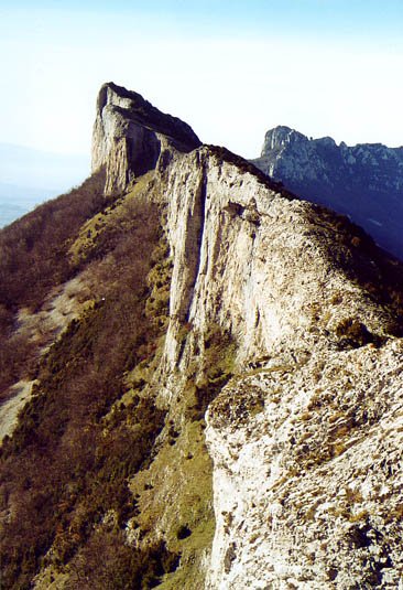 Ekialdeko gandorretik