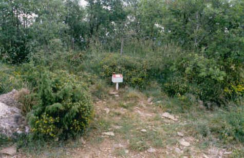 "Monte Julio" Alto de Lergaren bidea
