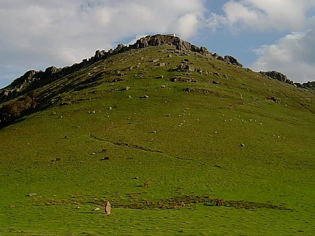 Mendaurreko E. aldeko gandorra